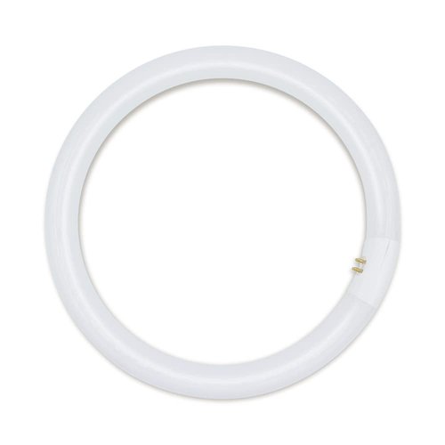Technical Precision 12 Inch Round Tube Light Bulb Replacement for Light Bulb/Lamp FC12T9 / Cool White FC12T9 32W Light Bulb with G10Q-4 4 Pin Base - 4100K Circline Fluorescent Bulb - 1 Pack