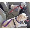 Red Car Seat Belt Leash for Dog Safety Harness Universal Fitment