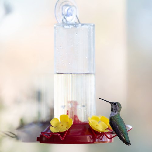 Perky-Pet 217 Window Mount Plastic Hummingbird Feeder with Perches - 8 oz Outdoor Garden Décor Hummingbird Feeder, iridescent color
