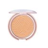 tarte Amazonian clay blurring powder foundation 26N Light-Medium Neutral