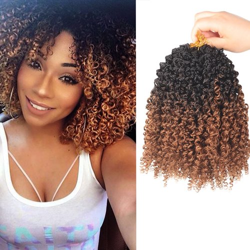 Yanky Twist Crochet Hair-8 Inch 8 Packs (30 Strands/Pcs) Prelooped Spring Twist Hair For Women Girl Ombre Braiding Passion Twist Crochet Braids Hair Extensions (T30, 8 Inch)