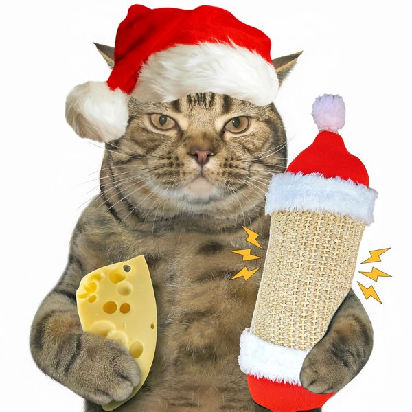 FuneeTop Interactive Cat Kicker Toy for Indoor Cat, Christmas Hat Style 10 Inch Long Cat Scratcher Toy, Natural Sisal Kicker Toy for Indoor Cats(Christmas Red)