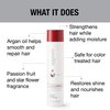 GREAT CLIPS Solutions Nourishing Conditioner 10 fl oz | Argan Oil | Sulfate and Paraben Free | Hydrates and Repairs Hair | Safe for Colored-Treated Hair