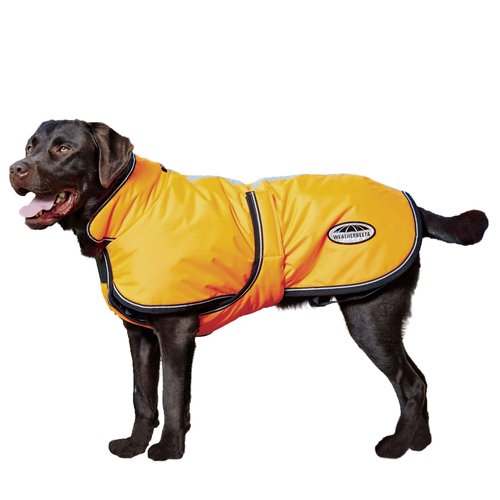 WeatherBeeta ComFiTec Reflective Parka 300D Deluxe Dog Coat, Orange, 18"