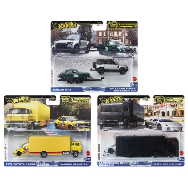 Diecast Collectibles Model Car Compatible with Hot Wheels 1:64 Team Transport 2024 E Case, Set of 3 Cars, FLF56-957E