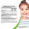 NaturesPlus Animal Parade KidZinc, Tangerine Flavor - 90 Animal-Shaped Lozenges, Pack of 2 - Organically Chelated Zinc - Vegan, Gluten Free - 180 Total Servings