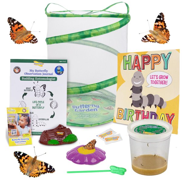 Insect Lore Birthday Butterfly Garden | Butterfly Growing Kit with Live Caterpillars | 5 Live Caterpillars, Reusable Habitat, STEM Butterfly Journal, 10 Inch Birthday Card & More