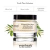 evanhealy Whipped Shea Butter with Olive Leaf | Natural Body Lotion for Dry & Sensitive Skin | Shea Butter Raw Organic & Coconut Oil for Skin