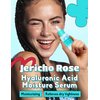 PATCH HOLIC Jericho Rose Hyaluronic Acid Moisture Serum - Korean Hyaluronic Acid Serum for Face | Hydrating Serum for Dry Skin | Wrinkle-Reducing Face Serum for Women & Men | Skin Serum (1.01 fl. oz)