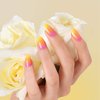 KISS 100 Full-Cover Nails, Press-On Nails, Nail glue included, 'Active Oval' Shape, Clear, Medium Size, Oval Shape, Includes 100 Nails, 3g Maximum Speed Nail Glue