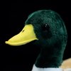 ZHONGXIN MADE Simulation Mallard Duck Plush Toy Stuffed Animals - Soft Realistic 13” Green Mallard Duck Doll, Cute Toys Real Plushie Toy Home Decoration, Unique Plush Gift Collection for Kids