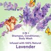 Suave Kids 3-in-1 Shampoo with 100% Natural Lavender - Tear-Free Kids Shampoo and Conditioner, Body Wash for Kids, 16.6 Fl Oz (Pack of 2)