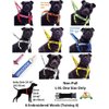 Service Dog Blue Color Coded S-M L-XL Buckle Dog Collar (Do Not Disturb) Prevents Accidents by Warning Others of Your Dog in Advance (L-XL Collar 15-25" Lx1.5 W)