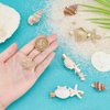 PH PandaHall 4 Styles Starfish Shell Hair Clip Beach Alligator Hair Clips Starfish Barrettes Dainty Sea Theme Clips for Halloween Mermaid Decor Beach Travel Wedding Supplies