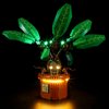 YEABRICKS LED Light for 76433 Harry Potter Mandrake Building Blocks Model (Building Set NOT Included)