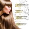 2PC Veganic Natural Hair Growth Oil, veganic hair growth oil Rosemary Oil for Hair Growth Organic,veganic hair oil for dry damaged hair and growth (60ml *2PC)