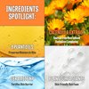 MAXCLINIC [K-Beauty] Calendula Biome Cleansing Oil to Foam | Daily Face Wash Oil Based Cleanser Foam | Korean Oil Foaming Face Cleanser | Hydrating Facial Cleanser for Dry Sensitive Skin (3.72 fl oz)