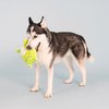 Fringe Studio Plush Dog Toy, Reach for The Flies, Pet Shop Collection (314221)