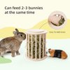 andwe Hay Feeder Less Wasted Wooden Food Feeding Rack for Rabbit Guinea Pig Chinchilla - Standing Pet-self Feeding Hay Manage