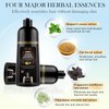 Vemofoper Black Hair Dye Shampoo for Gray Hair, Semi-Permanent Grey Coverage Shampoo,Hair Color Shampoo for Women Men,3 in 1 with Herbal Natural Ingredients (17 Fl Oz 500ml)
