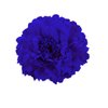 TOKIMMASH Boho Peony Flower Hair Clip, Blue, Hair Accessories, Women's