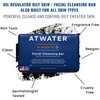 ATWATER Charcoal Facial Cleansing Bar for Oily to Combination Skin, Sulfate Free Rich Lathering Charcoal Face Soap; Gentle Face Cleanser for Daily Use; Natural Men’s Face Wash - 142 grams / 5 oz
