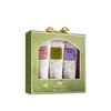 Tocca Wonders Collection - Crema Veloce Mini Hand Cream Set of 3 - Includes Florence, Colette, and Cleopatra - Moisturizing Hand Cream, Each 1.5 oz