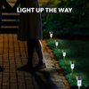 KANE LONO Solar Pathway Lights Outdoor - 6 Pack Bright LED Patio, Garden, Driveway, Landscape Lighting | IP44 Water Resistant Dusk to Dawn Yard Light | Cool White, Auto On/Off, Up to 8 Hours Battery