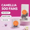 Eyesy Lash 500 Camellia Lash Extensions | 5D 0.07 Size 7-9-11mm Curl C | American Volume Lash Multiple Lengths Eyesy Eyelash Extension Pestanas Pelo A Pelo Create Depth, Textured, Layered Effect