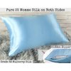 Celestial Silk 100% Silk Pillowcase for Hair Zippered Luxury 25 Momme Mulberry Silk Charmeuse Silk on Both Sides of Pillow Cover -Gift Wrapped- (King, ICY Blue)