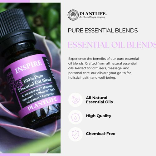 Plantlife Peace Aromatherapy Essential Oil Blend - Straight from The Plant 100% Pure Therapeutic Grade - No Additives or Fillers - Made in California 10 ml