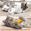 MALLMALL6 Catnip Toys for Cat - 5Pcs Dino Nuggets Cat Toys, Dinosaur Chicken Nugget Catmint Interactive Gift for Indoor Cats, Plush Golden Cat Supplies, Chew Cat Toy Set, Cute Pet Gifts for Cat Lover