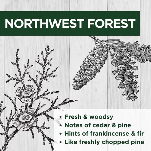 American Ostrich Farms Beard Oil& Conditioning Style Aid, Northwest Forest