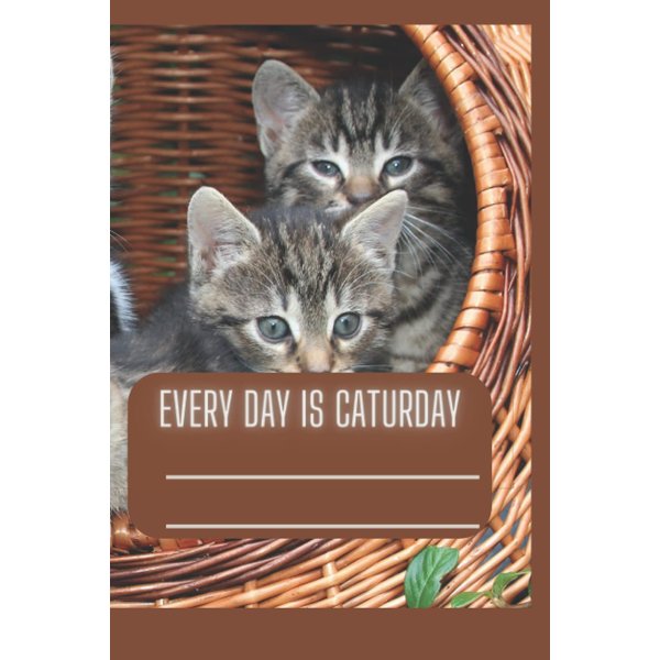 Cat notebook: cat composition notebook, notebook 6x9 120 pages, cat notebook journal for cat lovers