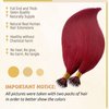 Burgundy Nano Ring Hair Extensions Real Human Hair 22 Inch Burgundy Nano Bead Hair Nano Tip Human Hair Extensions Straight Soft Pre Bonded Tipped Hair Cold Fushion for Women 50g 50 Strands