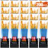 Acrylic Paint Brush Set, (20 Packs /200 pcs) Nylon Hair Brushes for Oil and Watercolor, Perfect Suit of Art Painting, Best Gift for Painting, Blue
