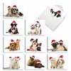 The Best Card Company - Variety Pack of 20 Blank Christmas Greeting Cards with Envelopes, Humor Holiday Assortment for Men and Women (10 Designs, 2 Each) - Christmas Copy Cats AM6596XSB-B2x10