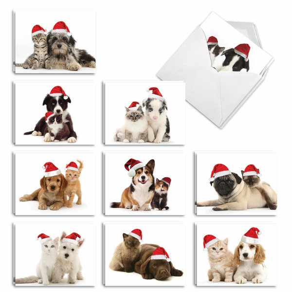 The Best Card Company - Variety Pack of 20 Blank Christmas Greeting Cards with Envelopes, Humor Holiday Assortment for Men and Women (10 Designs, 2 Each) - Christmas Copy Cats AM6596XSB-B2x10