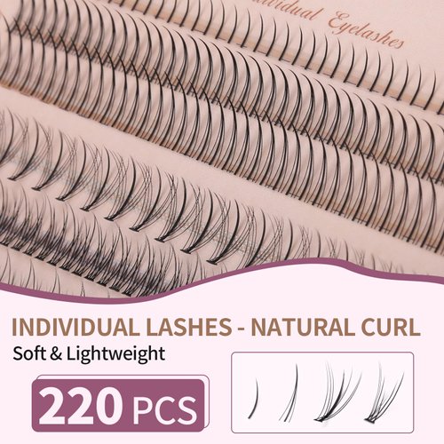 Individual Lashes 220 Clusters Eyelashes Extensions 4 Types Natural Fairy Manga Lashes 6-11mm Mixed Lashes Clusters DIY at Home (A Type & Fishtail & Fairy & Bottom Lashes)