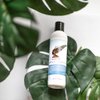 Recover Restore Gro Hydrating Shampoo | All hair types | Hair Growth | Sulfate Free | Vegan | Aloe Vera base | 8oz.