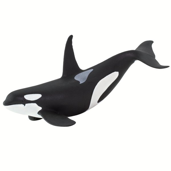 Safari Ltd. Wild Safari Sea Life Orca Figurine - Realistic 6" Killer Whale Model Figure - Educational Toy for Boys Girls & Kids Age 3+
