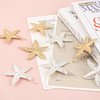 Framendino, 8 Pack Starfish Hair Clip Mermaid Hairpin Beach Sea Hair Pins for Girls Women Gold Silver
