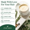 Eva + Avo Deep Conditioning Hair Mask - Hydrating Hair Mask with Avocado –Nourishing Hair Mask for Dry Damaged Hair – Paraben and Sulfate-Free – 8 Fl Oz