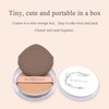 RUBIXIAN Powder Puff for Foundation, 2 Packs Air Cushion Portable Round Makeup Sponges with Air Cushion Powder Puff, Latex-free Blending Sponge and Makeup Puff for Foundation, Cream, Concealer