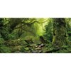AWERT Tropical Forest Terrarium Background Stream Green Huge Tree Reptile Habitat Background Foggy Rainforest Aquarium Background 36x18 inches Durable Polyester Background