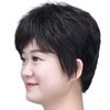 SYXLCYGG Short Black Wig Old Lady Wigs Ladies Synthetic Older White Womens Hair Wigs Fluffy, Full Free Wig Cap