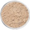 Lauren Brooke Cosmetiques Natural Makeup Powder Foundation (6 Gram, Cool No. 10)
