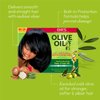 ORS Olive Oil Built-In Protection Full Application No-Lye Hair Relaxer - Normal (11098)