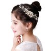 PRDGIRL Flower Wedding Hair Comb for Girls Crystal Pearls Floral Princess Bride Hair Accessories Headpiece for Bridesmaid Women First Communion (Gold)