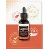 Lugols Iodine 2 Percent 2 fl oz | Potassium Iodide and Iodine Solution 2% Liquid Drops | by Carlyle